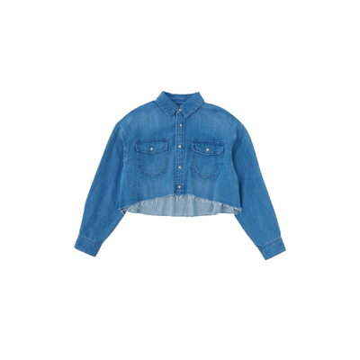 MOUSSY VINTAGE NASHBORO SHIRTS IN BLUE