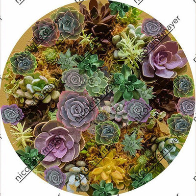 Succulents Gold 16" Round Pebble Placemat Set of 4 - nicolettemayer.com