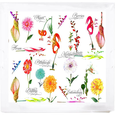 Botanicals White Beveled/Polished Acrylic 18X18 Large Size Square Printed Tray - nicolettemayer.com