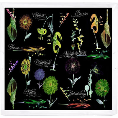 Botanicals Xray Greens Beveled/Polished Acrylic 18X18 Large Size Square Printed Tray - nicolettemayer.com