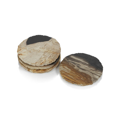 Plover 4" Petrified Wood Coasters, Set of 4